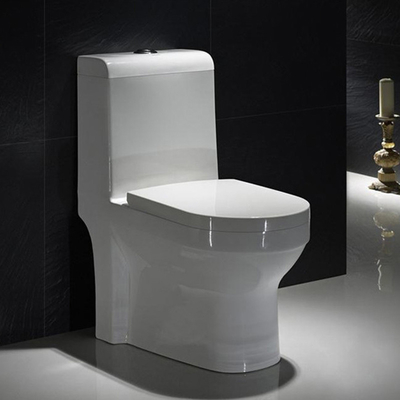 S Trap اندازه استاندارد یک تکه کف توالت دراز کامود نصب شده