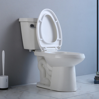 جکوزی دو تکه آدا توالت تک فلاش سایفونیک 1000G مپ