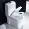 نصب آسان توالت استاندارد دراز استاندارد آمریکایی با مصرف آب کارآمد