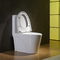فناوری ثبت اختراع صرفه جویی در مصرف آب توالت دوگانه فلاش یک تکه