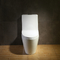 فناوری ثبت اختراع صرفه جویی در مصرف آب توالت دوگانه فلاش یک تکه