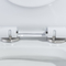 توالت بلند Odm دو فلاش با سوراخ های جانبی استاندارد آمریکایی