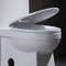 توالت جمع و جور یک تکه با نقشه فلاش جانبی 1000 توالت 1 عددی استاندارد آمریکایی