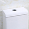 کامود توالت 1.0 Gpf سرامیک استاندارد آمریکایی تک تکه دو فلاش