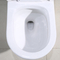 سفید 1 تکه دو فلاش راحت ارتفاع توالت S دام 300 میلی متری 10 اینچ ناهموار