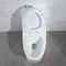 توالت 28 اینچی 1.28 Gpf دو فلاش یک تکه 10 اینچی ناهموار در استاندارد آمریکایی