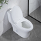 توالت 28 اینچی 1.28 Gpf دو فلاش یک تکه 10 اینچی ناهموار در استاندارد آمریکایی
