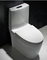 کاسه توالت 12 اینچی ناهموار سیفونیک دو فلاش کمد آب S Trap