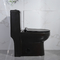 سایفونیک هتل سایفونیک یک تکه توالت روی کف مشکی 690x360x810mm