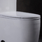 توالت 21 اینچی Ada Comfort ارتفاع 1.6 Gpf یک تکه کمد چینی بلند