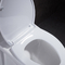 توالت 10 اینچی Rough In Ada Comfort Height for Disabled Rv with Power Flush