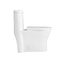 توالت استاندارد آمریکایی One Piece Comfort Height 0.8gpf Dual Flush 200 400mm