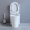 سرامیک حمام یک تکه دراز توالت ارتفاع 19 اینچ Ada Comfort