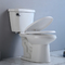 جکوزی دو تکه آدا توالت تک فلاش سایفونیک 1000G مپ