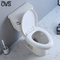 بهترین توالت دو تکه سازگار با آدا در حمام با سیستم فلاش قدرتمند
