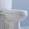 مخزن توالت فرنگی دو تکه CUPC سفید مشکی 1.28 GPF