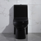 توالت های سیاه یک تکه دراز 1.6 Gpf Siphon Jet Toilet Systems Flushing